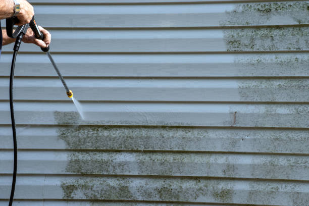 Affordable siding repair and maintenance services in Attica, MI
